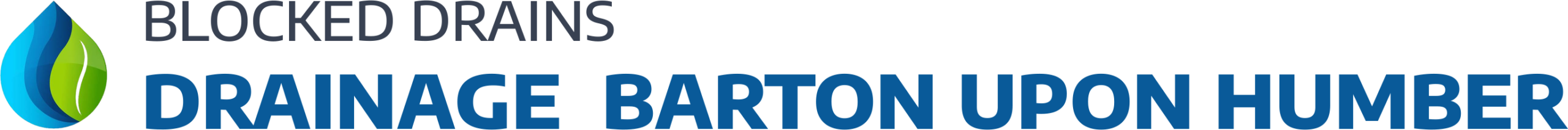 website logo